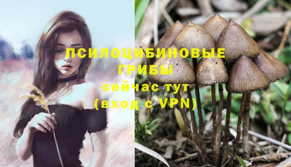 дурь Армянск
