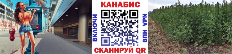 Бошки марихуана Bruce Banner  Дорогобуж 